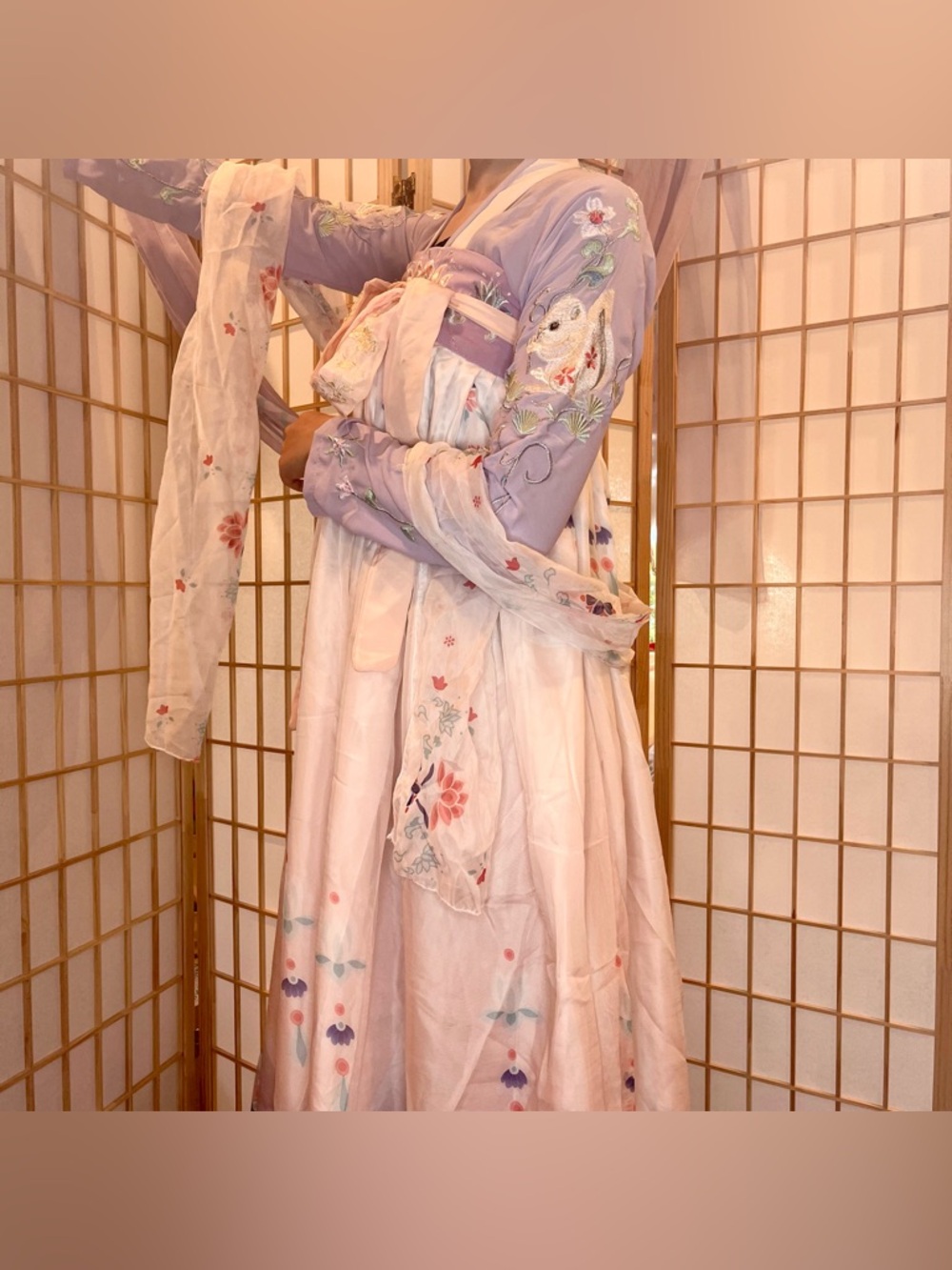 Tang dynasty Chinese hanfu embroidered qixiong dress 3 piece set
